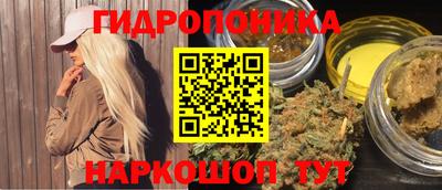 молекула духа Заволжье