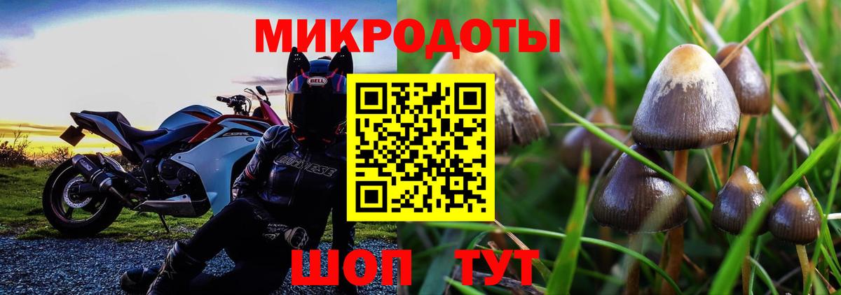 Псилоцибиновые грибы мицелий Мелеуз